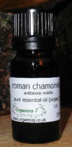 Roman Chamomile