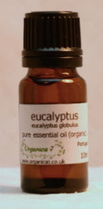 Eucalyptus Essential Oil