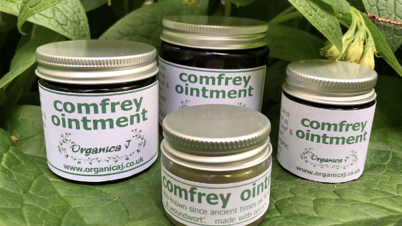 591C554B-700C-429F-BA06-E976B7741EAB Comfrey 2021