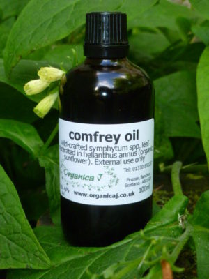 Comfrey Macerate 2014