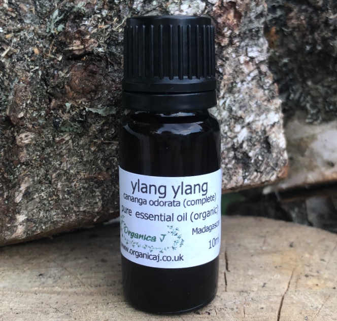 Young Living 3 Wise Men - 15ml - Spiritual Awareness Essential  Oil Blend for Peaceful Sleep, Relaxation, and Meditation - Almond Oil Base  Aromatherapy : Health & Household